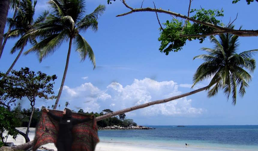 What to do in Bintan Islands? Adventure Activities in Bintan