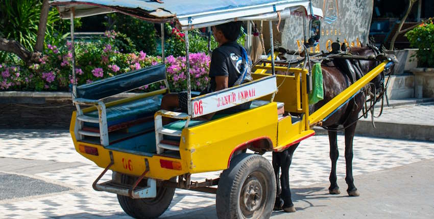 Discover the 10 Best Things To Do In Gili Islands (Indonesia) 9 Best things to do in Gili Islands - bicycle or horse-drawn cart
