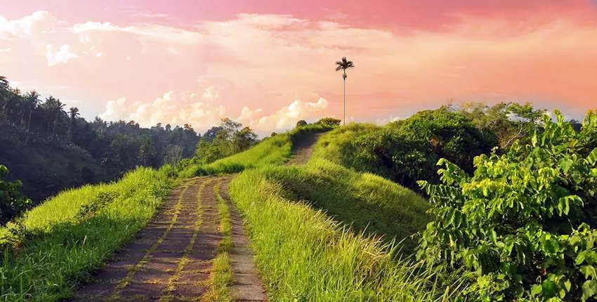 Campuhan Ridge Walk: Explore the Breathtaking Route Map 6 Campuhan Ridge Walk sunrise trekking guide