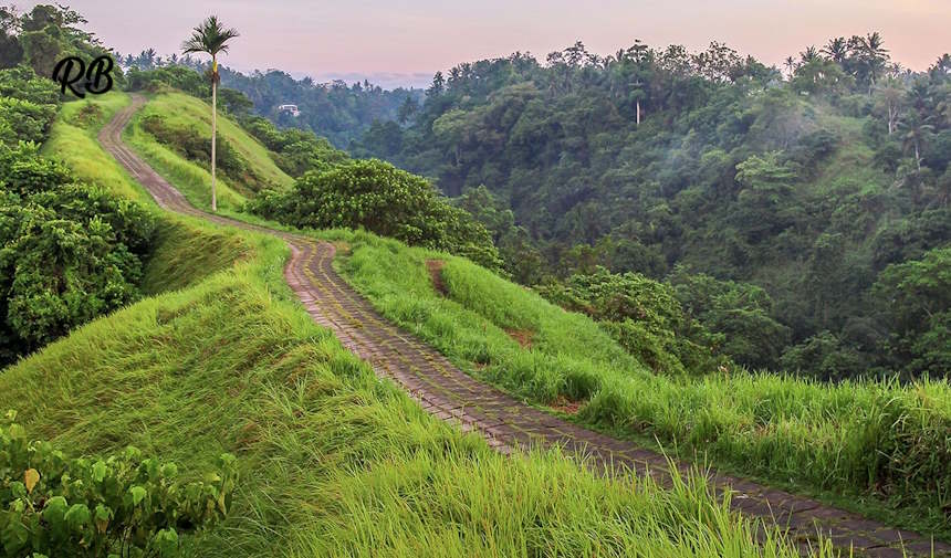 Campuhan Ridge Walk: Explore the Breathtaking Route Map 3 Campuhan Ridge Walk route map and Campuhan Ridge hike difficulty