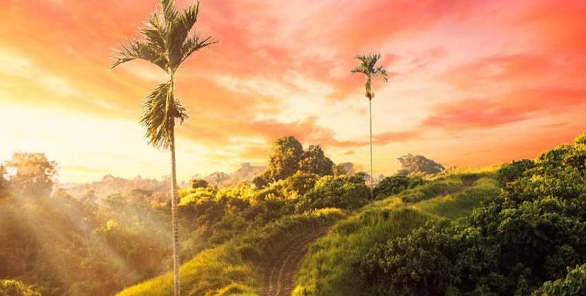 Campuhan Ridge Walk: Explore the Breathtaking Route Map 7 Campuhan Ridge Walk sunset trekking guide