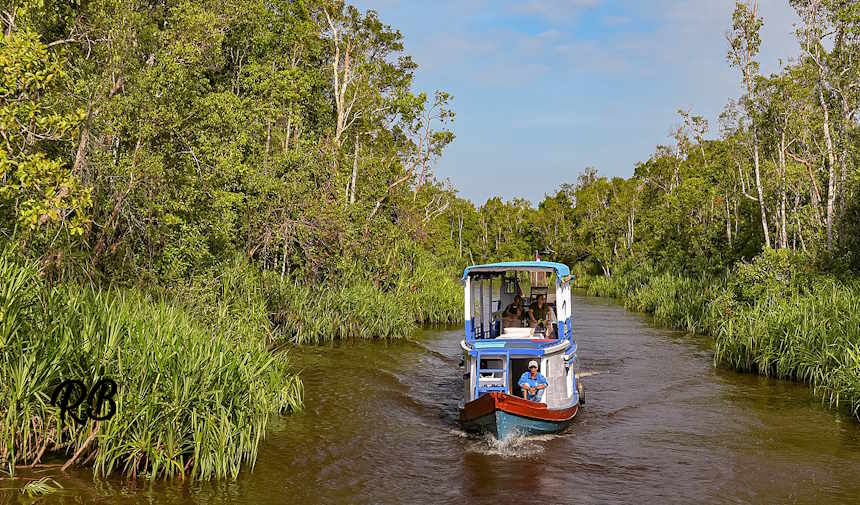 Kalimantan Travel Blog | 7 Days Kalimantan Itinerary Guide & Tips 4 Kalimantan Travel Blog | Indonesia Kalimantan 7 Days Itinerary Tanjung Puting National Park