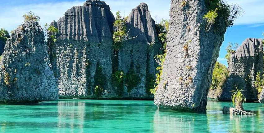 Raja Ampat Travel Guide | Best Diving Snorkeling Underwater 7 Raja Ampat travel itinerary