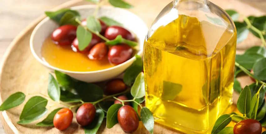 Jojoba Oil Benefits for Moisturizing Skin